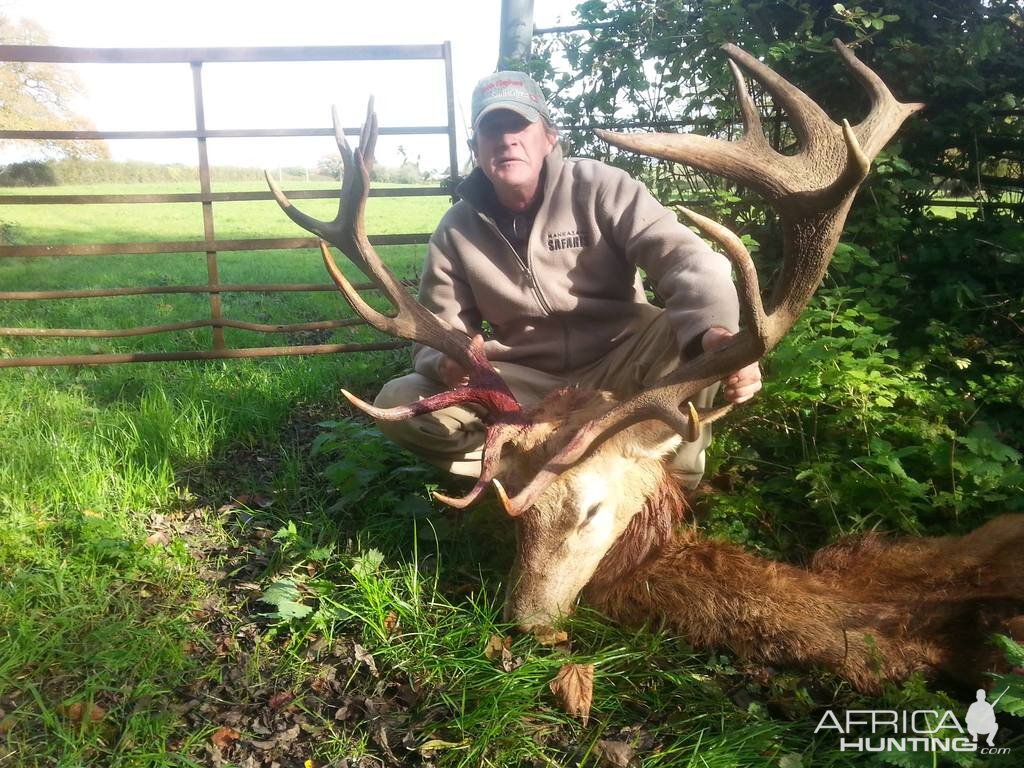 Hunt Red Stag England