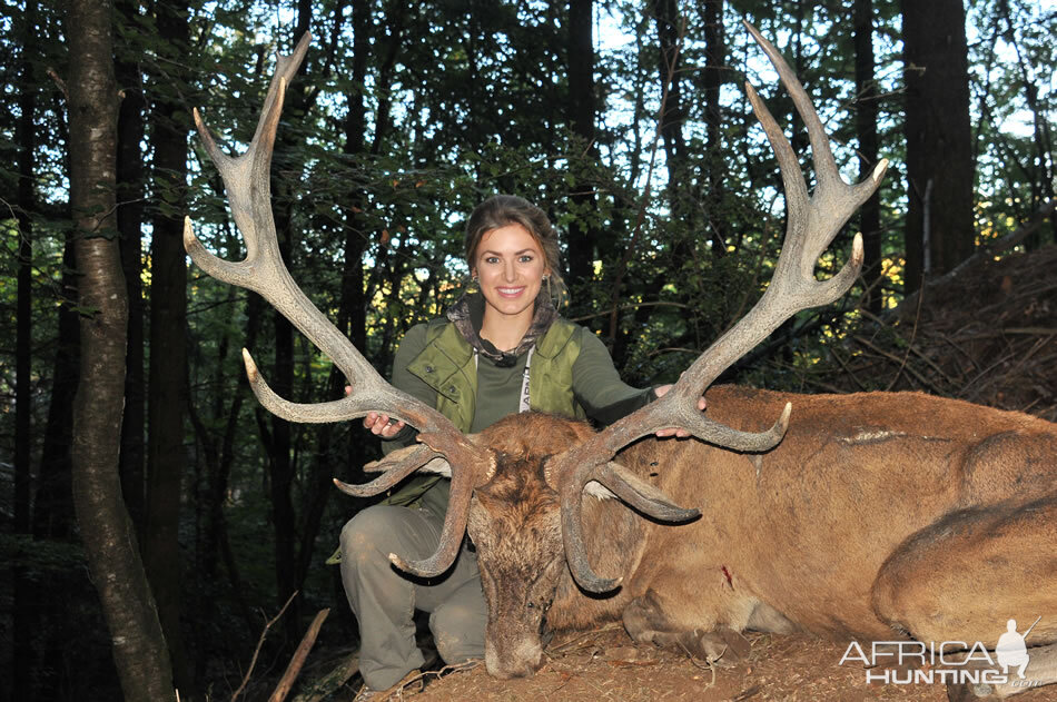 Hunt Red Stag France