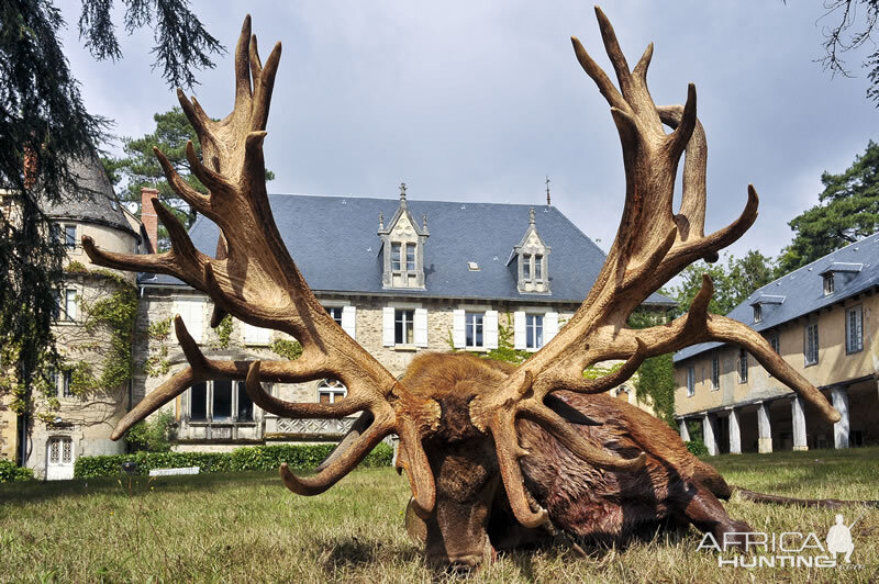 Hunt Red Stag France