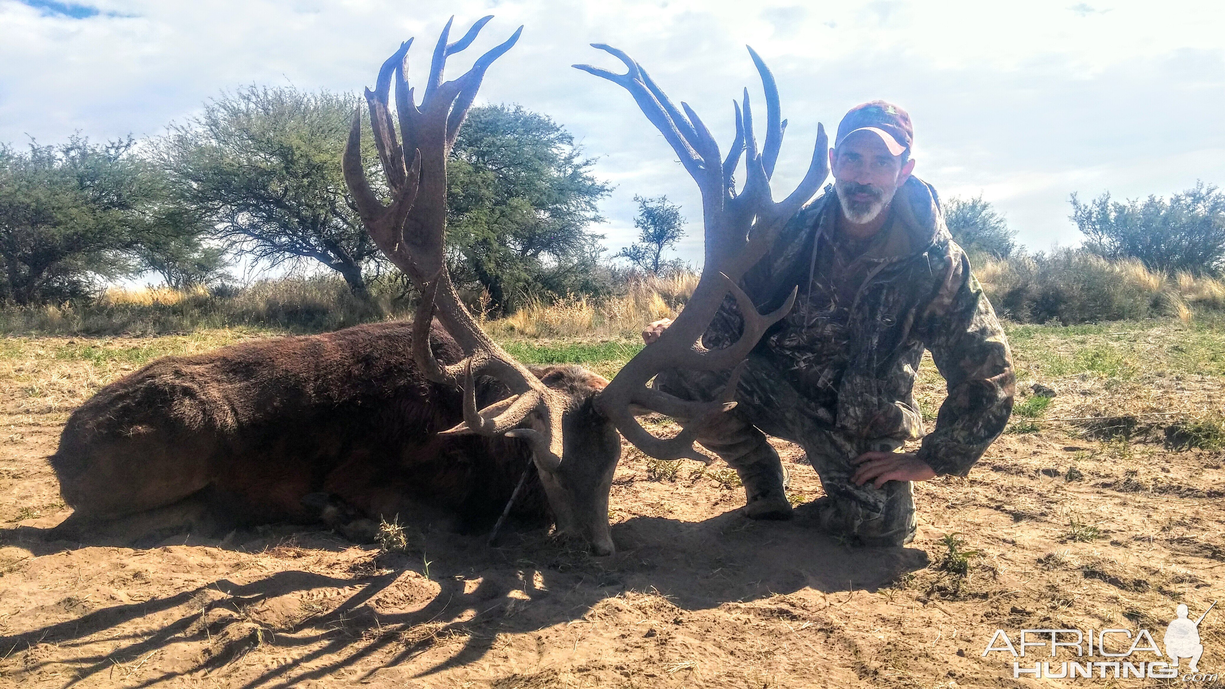 Hunt Red Stag in Argentina