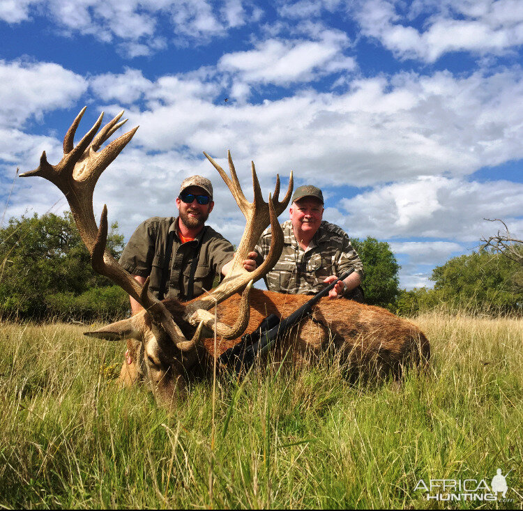 Hunt Red Stag in Argentina