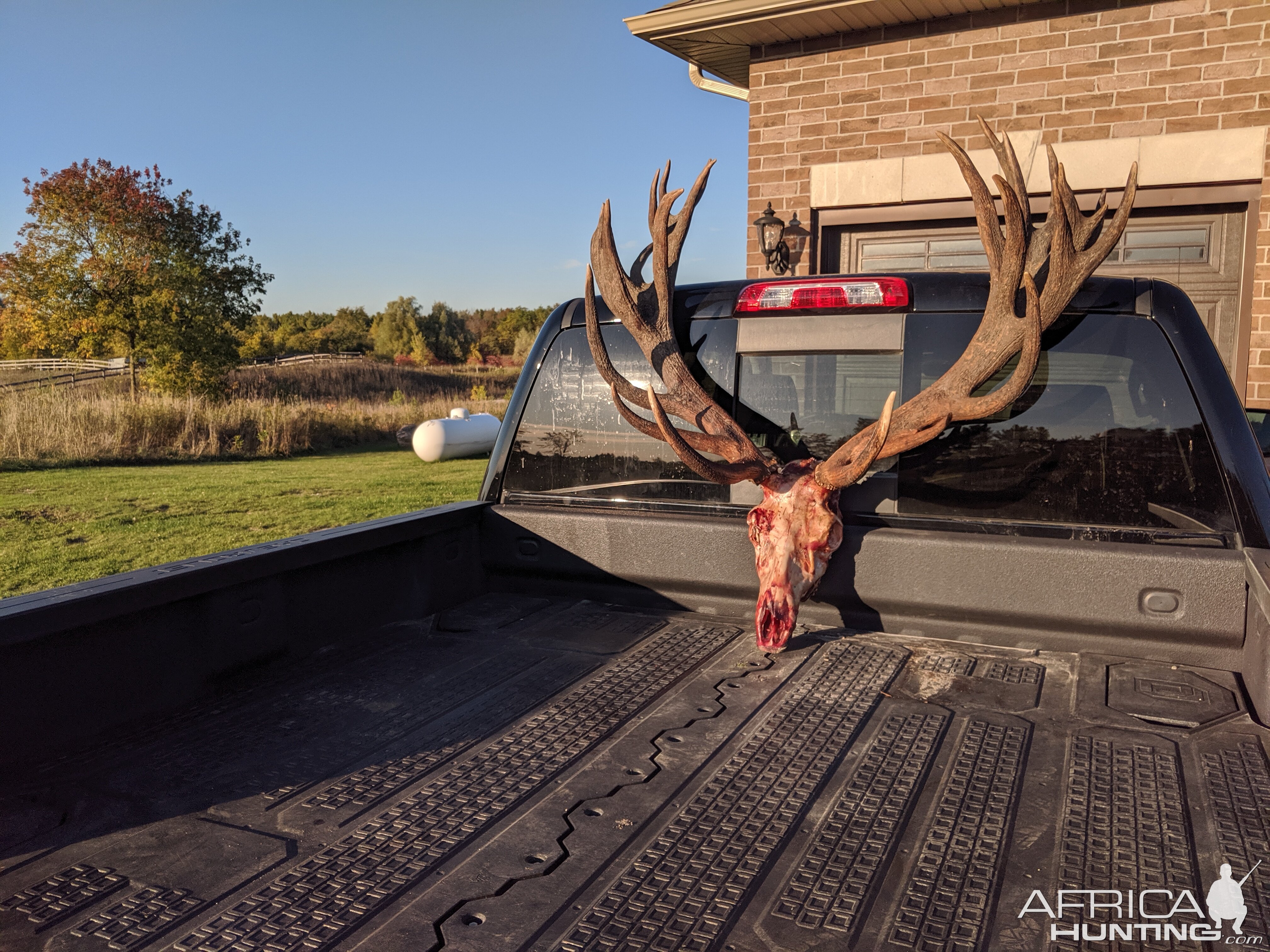 Hunt Red Stag in Canada