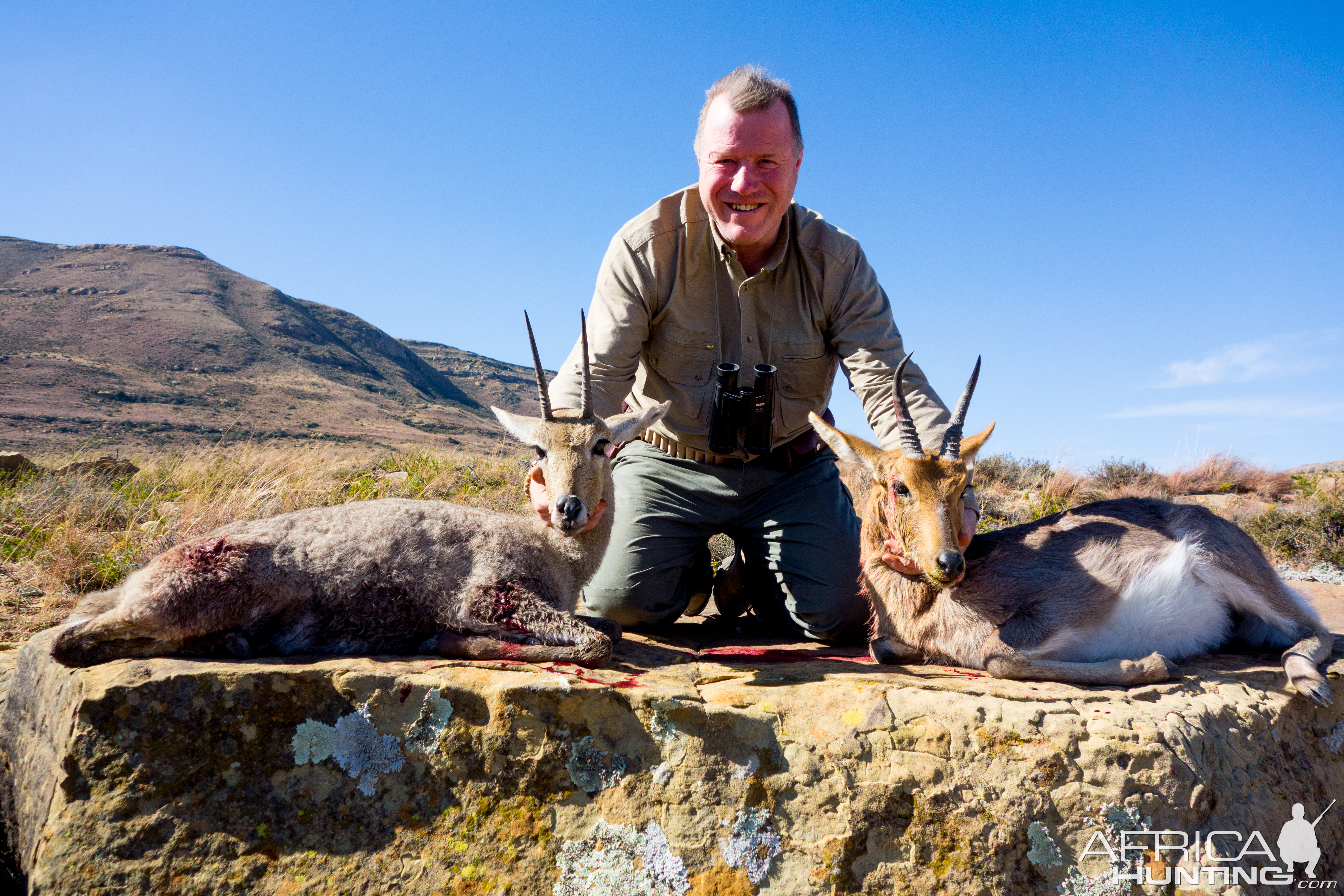 Hunt Rhebok & Mountain Reedbuck in South Africa