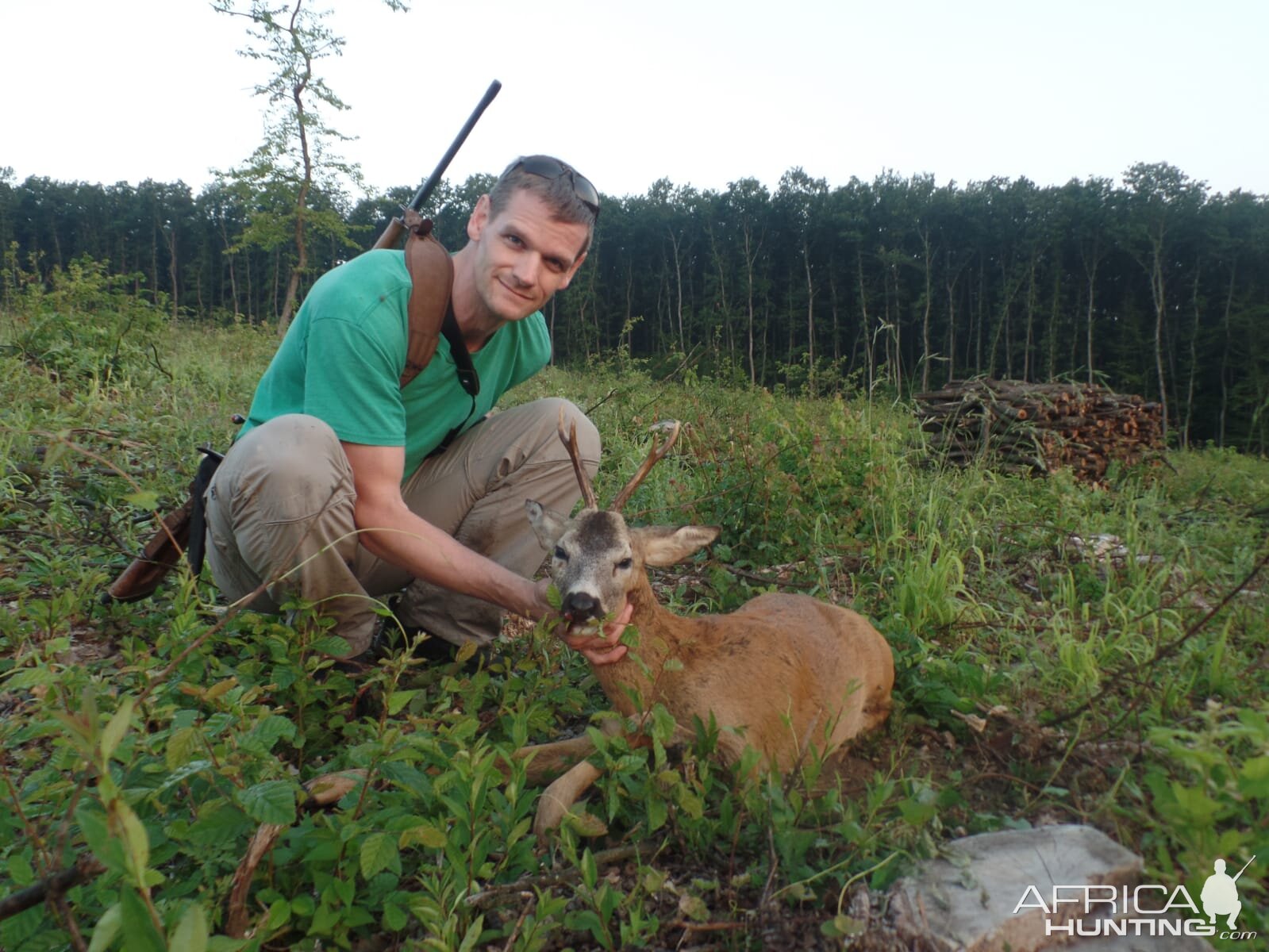 Hunt Roe Deer in Hungary