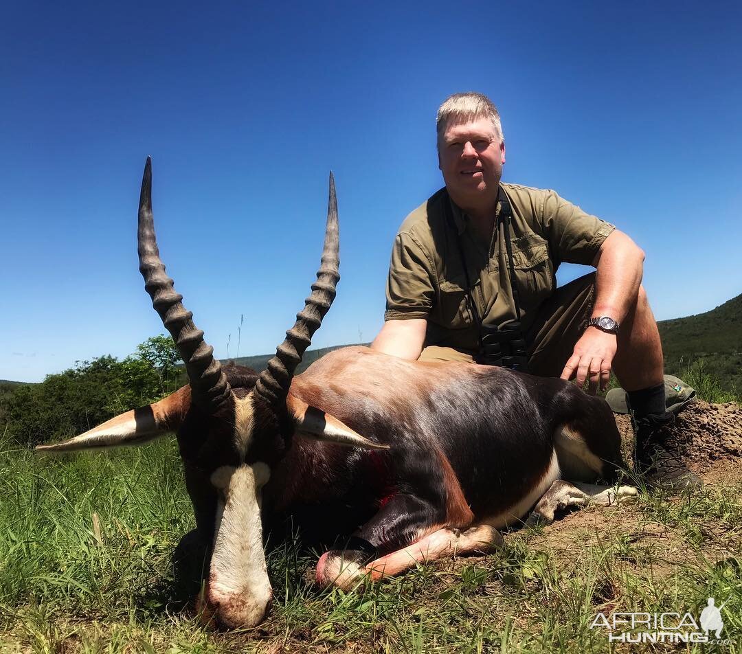 Hunt Rowland Ward 15 1/4” Inch Bontebok in South Africa