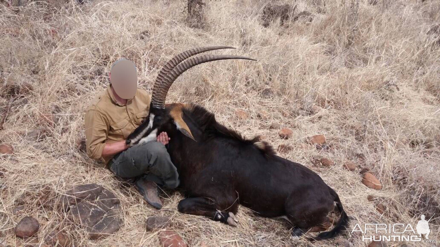 Hunt Sable Antelope in Matetsi Area Zimbabwe