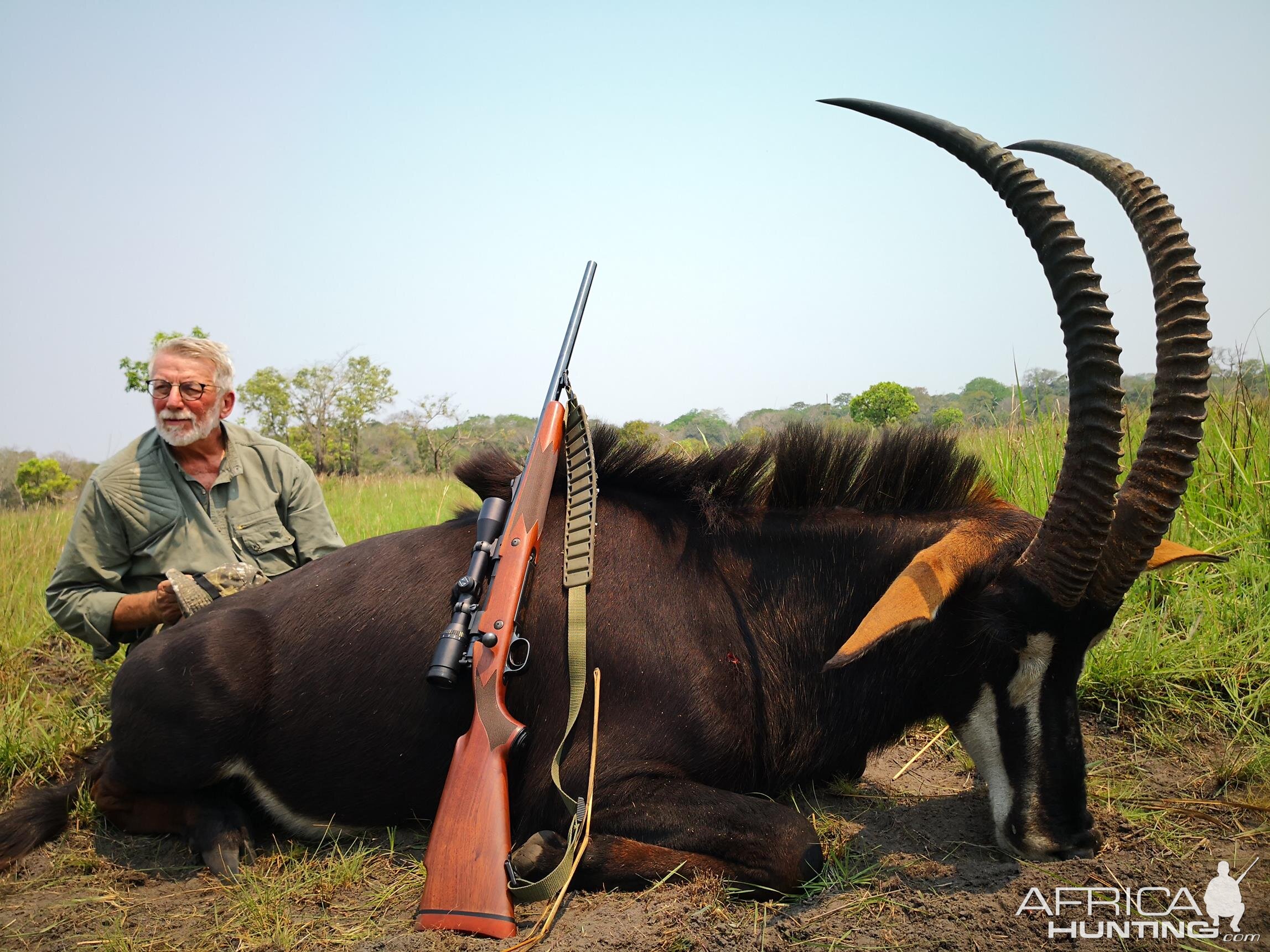 Hunt Sable Antelope in Mozambique