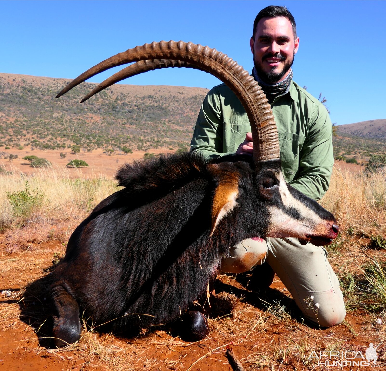 Hunt Sable Antelope in South Africa