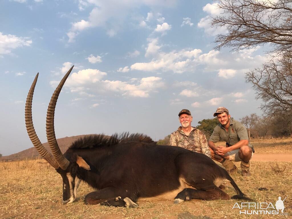 Hunt Sable Antelope in South Africa