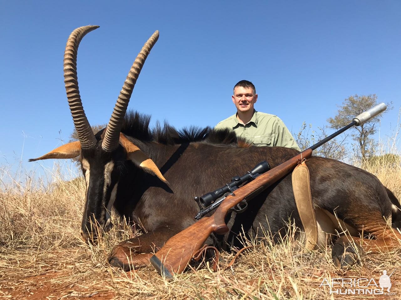 Hunt Sable Antelope in South Africa