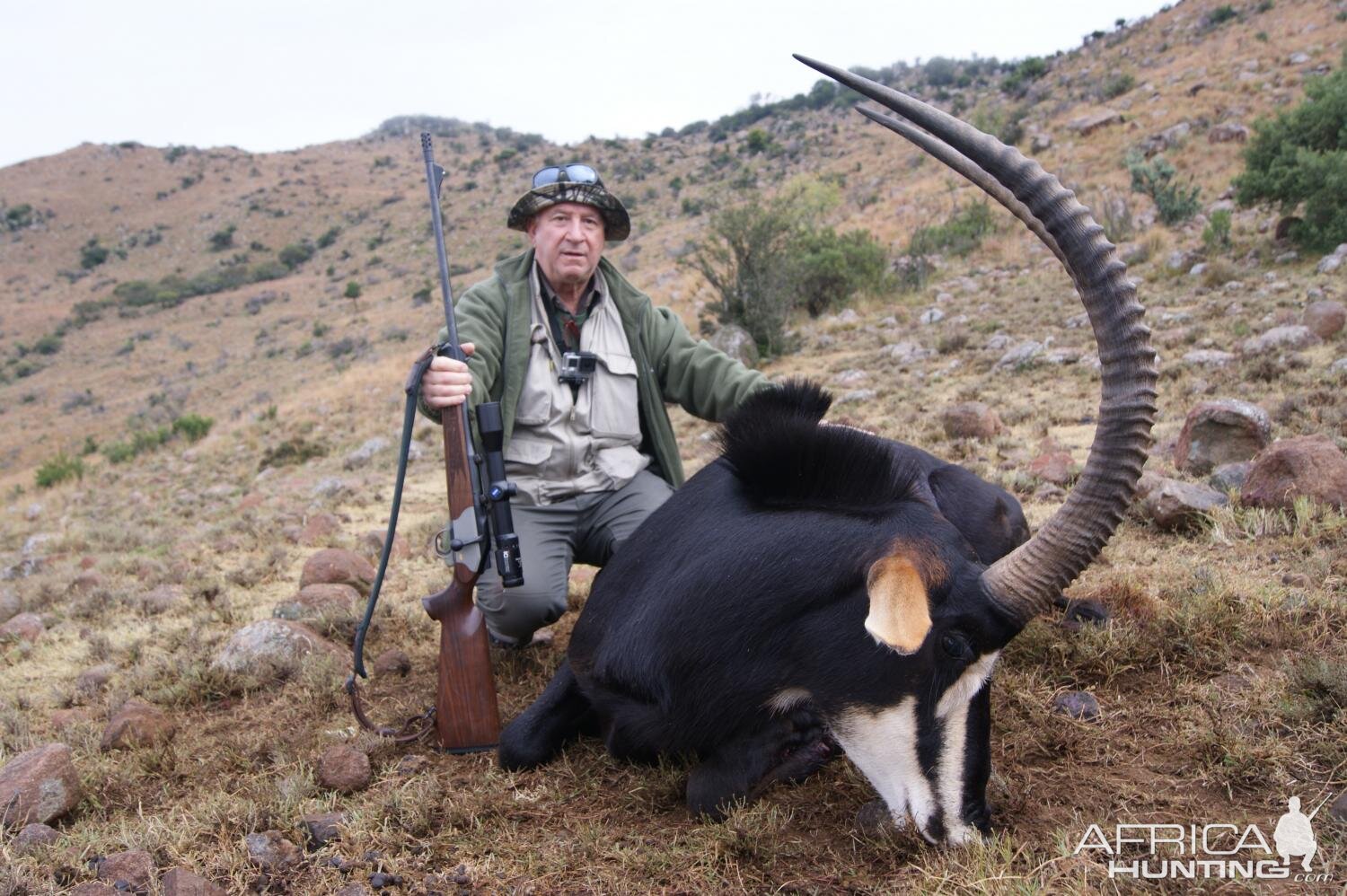 Hunt Sable Antelope in South Africa