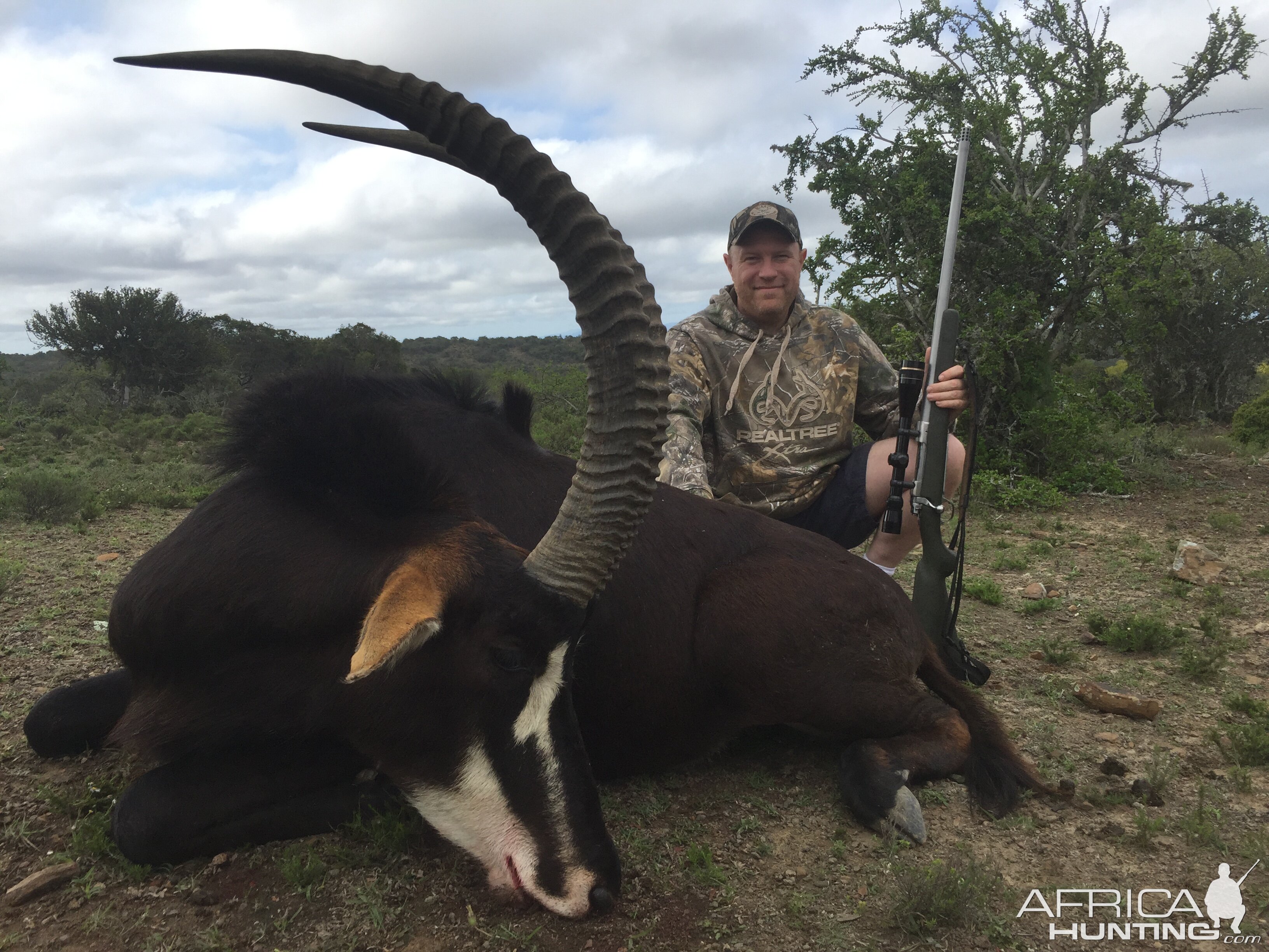 Hunt Sable Antelope in South Africa