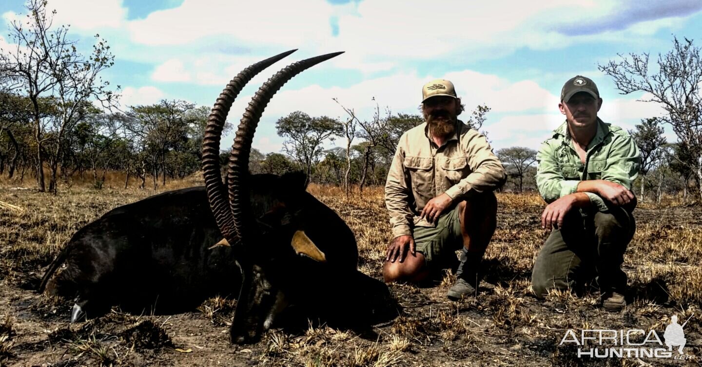 Hunt Sable Antelope in Tanzania