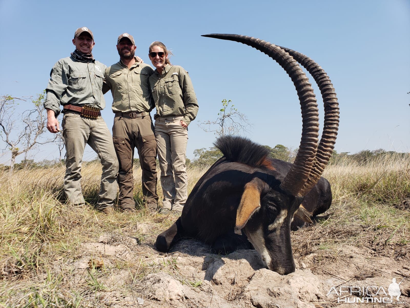 Hunt Sable Antelope in Tanzania