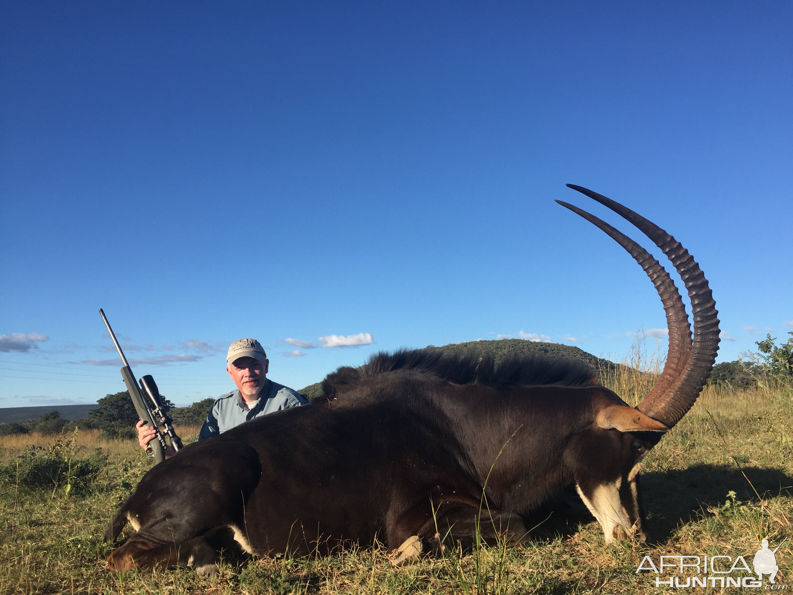 Hunt Sable Antelope South Africa