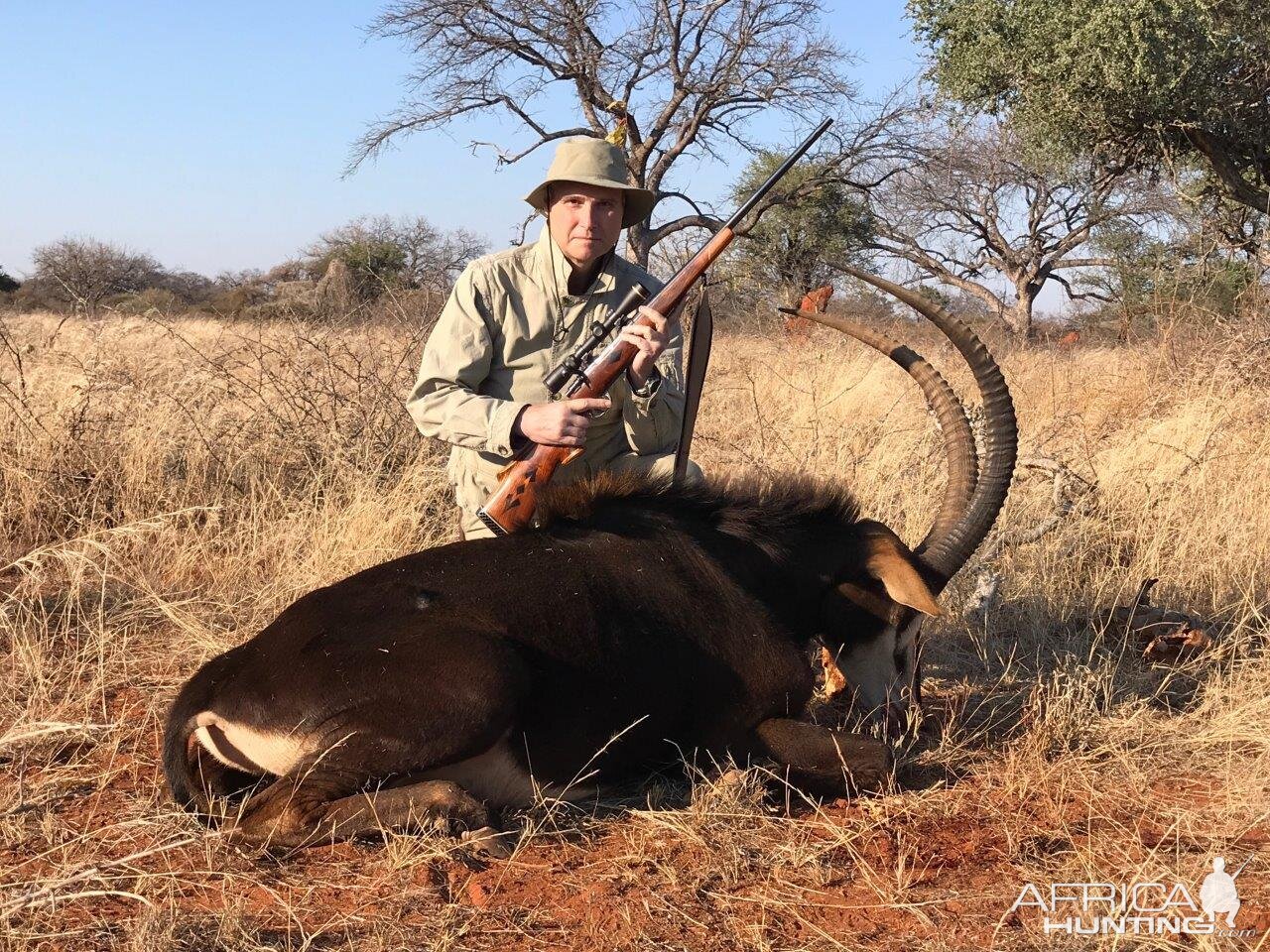 Hunt Sable Antelope South Africa