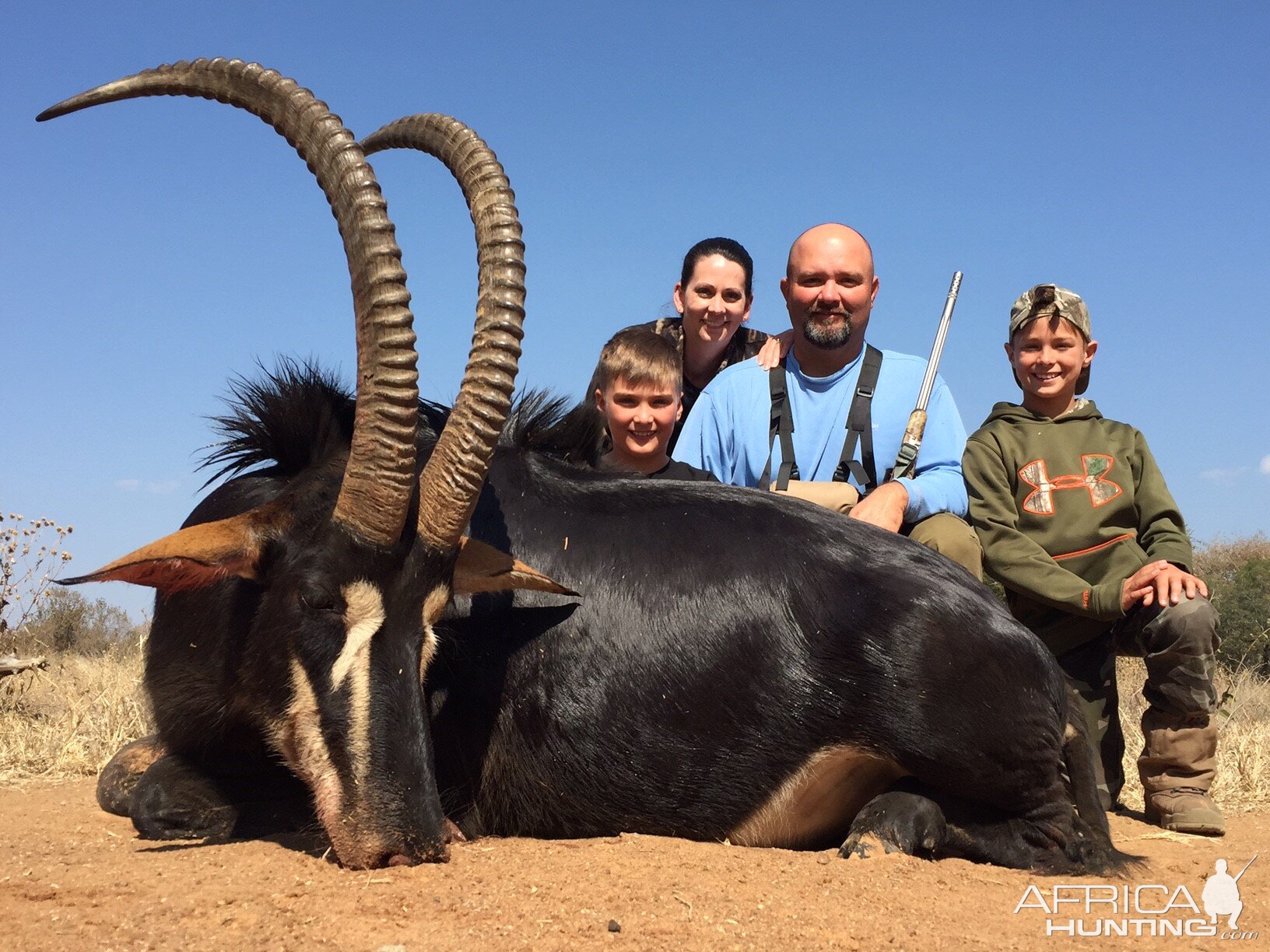 Hunt Sable Antelope South Africa