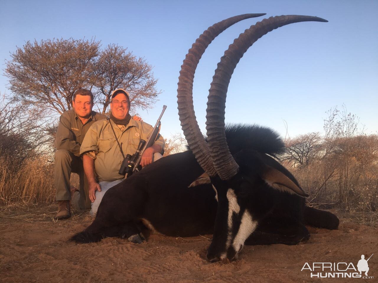 Hunt Sable Antelope South Africa