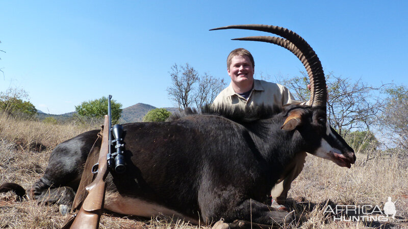 Hunt Sable Antelope South Africa