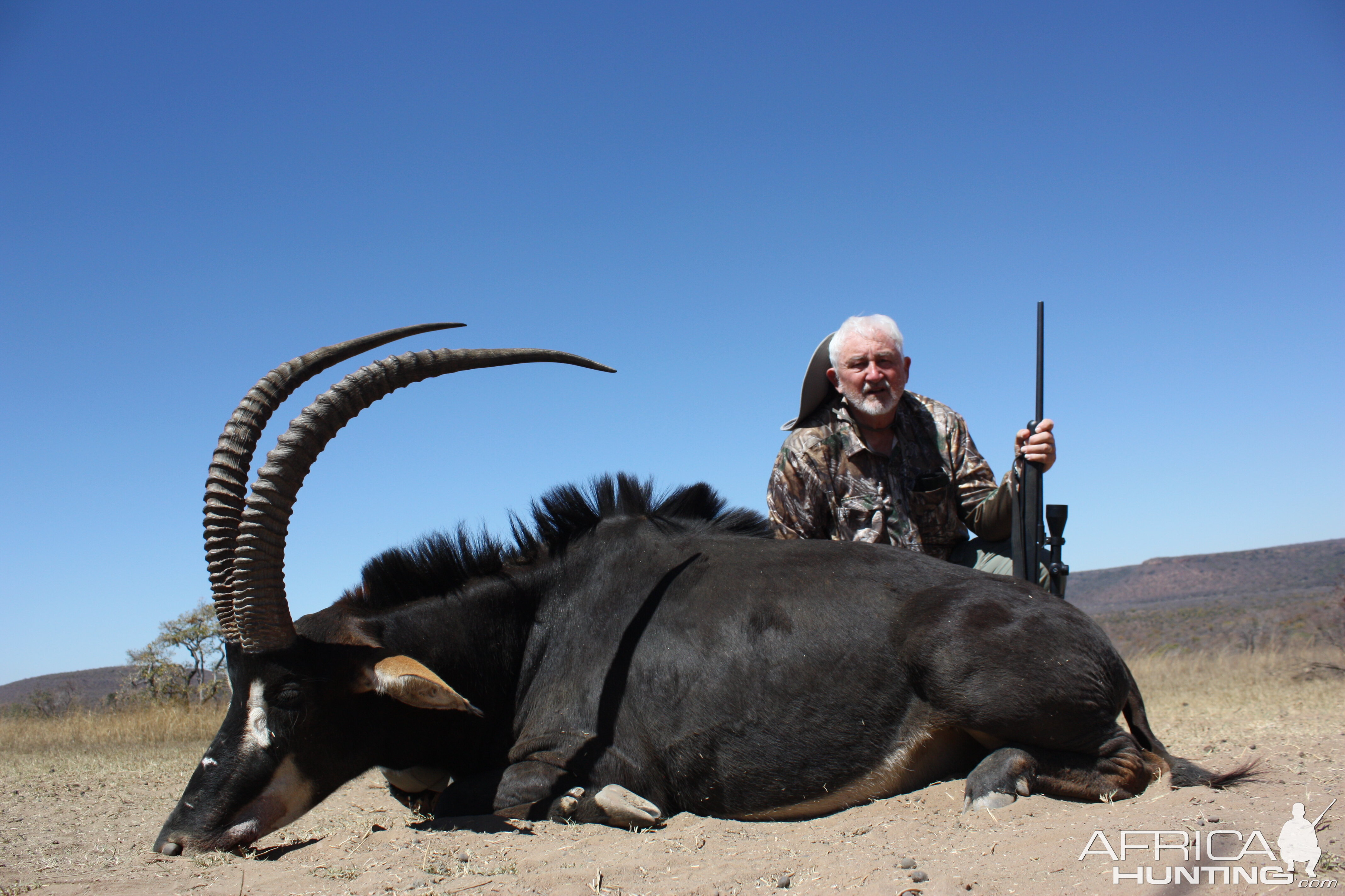 Hunt Sable Antelope South Africa