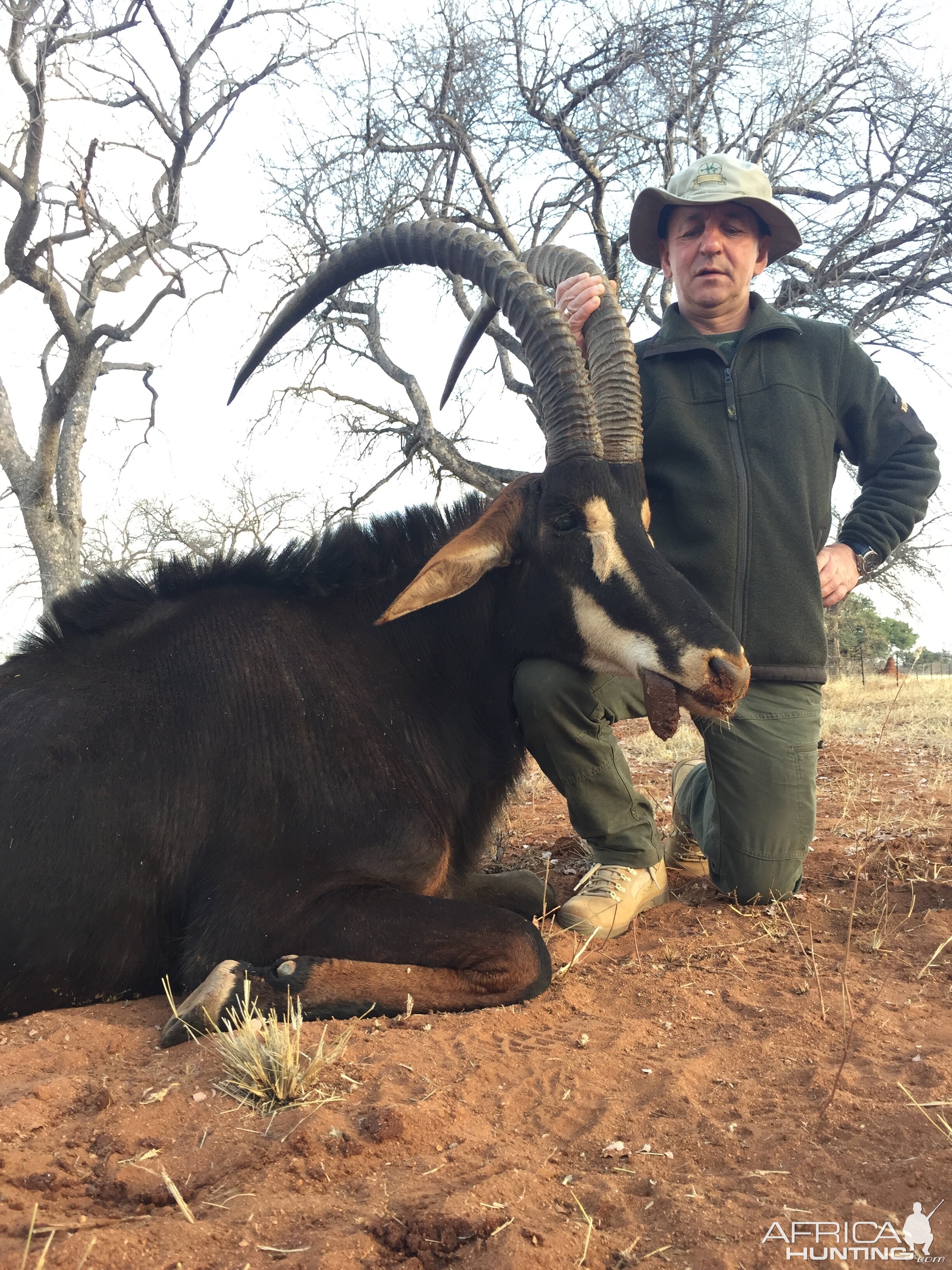 Hunt Sable Antelope South Africa