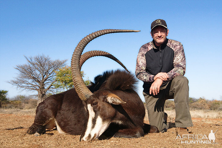 Hunt Sable Antelope South Africa