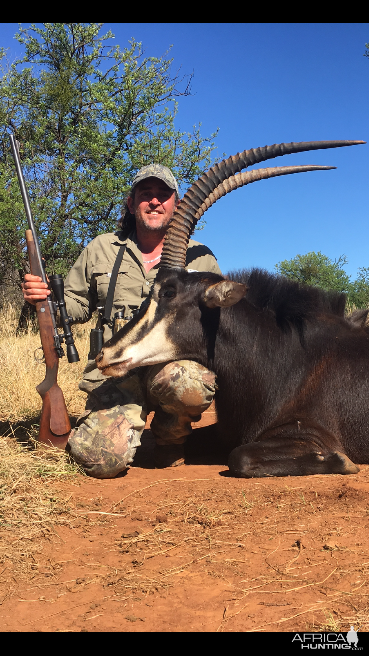 Hunt Sable Antelope South Africa