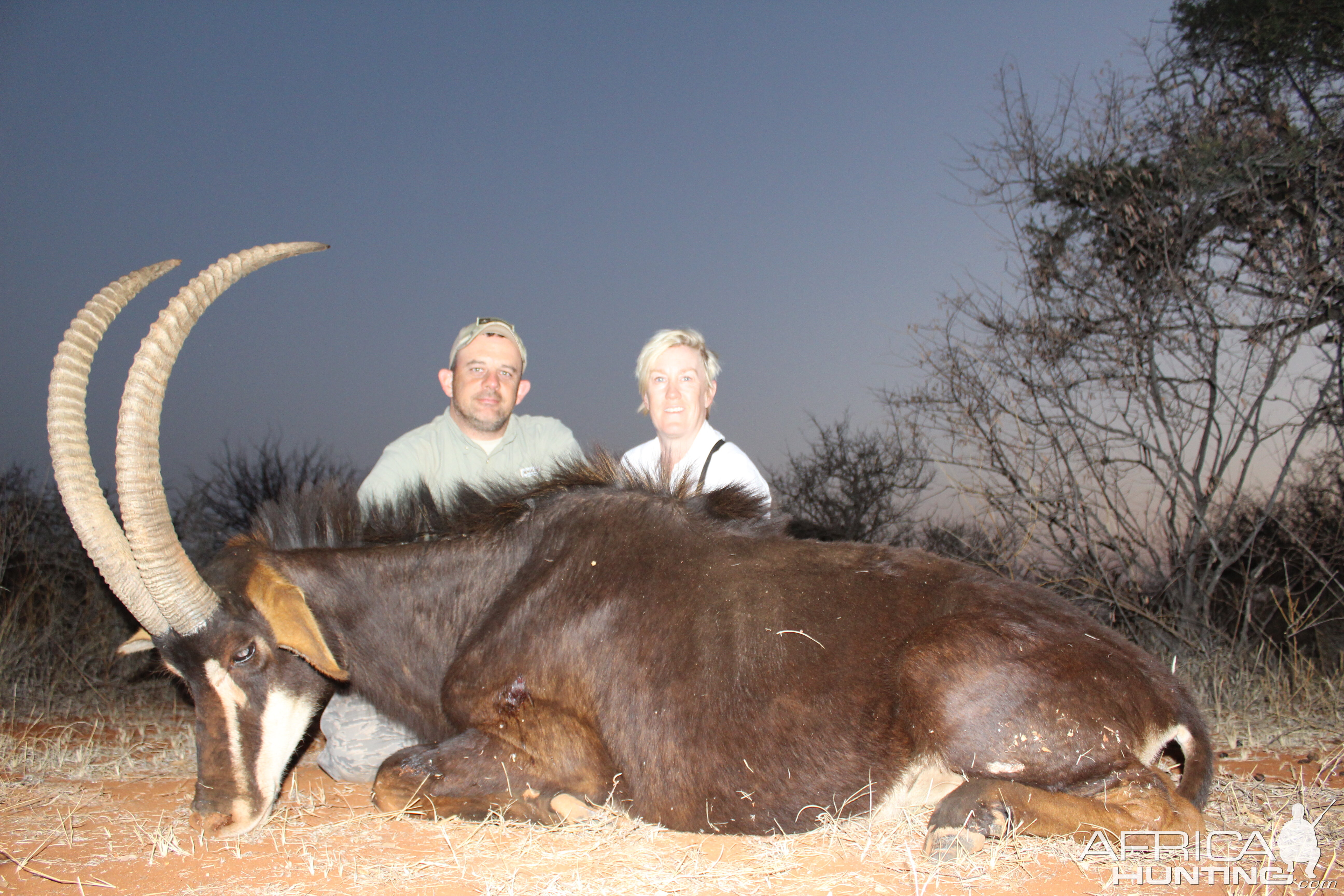 Hunt Sable Antelope South Africa