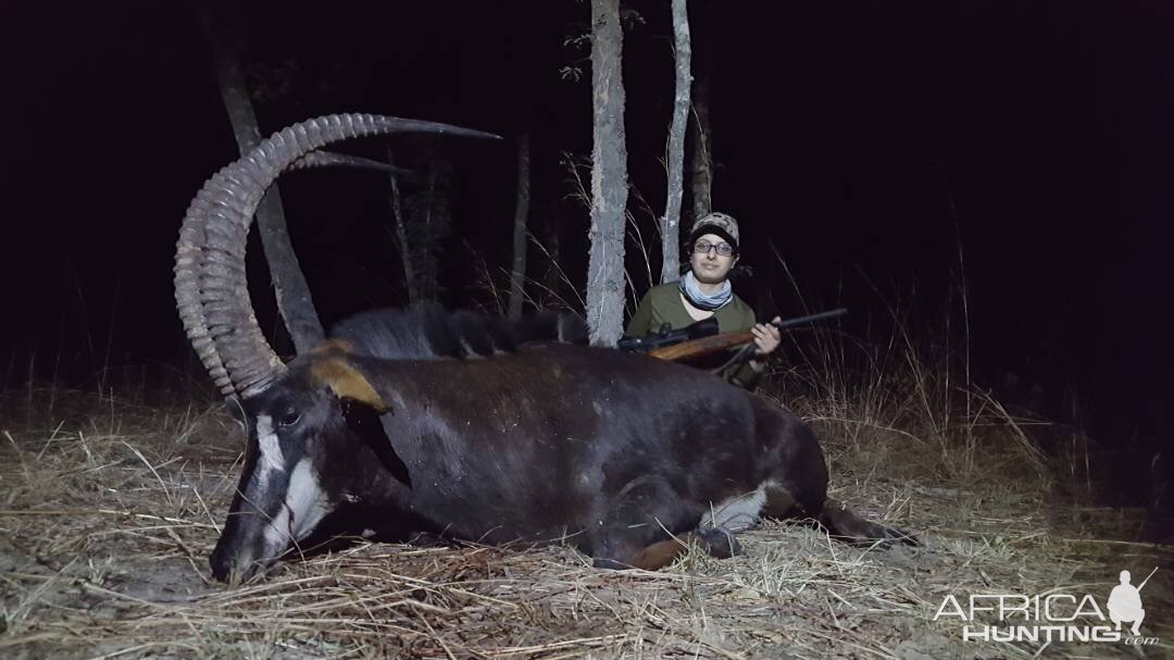 Hunt Sable Antelope Zambia