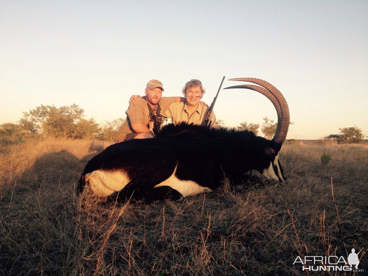 Hunt Sable Antelope Zimbabwe