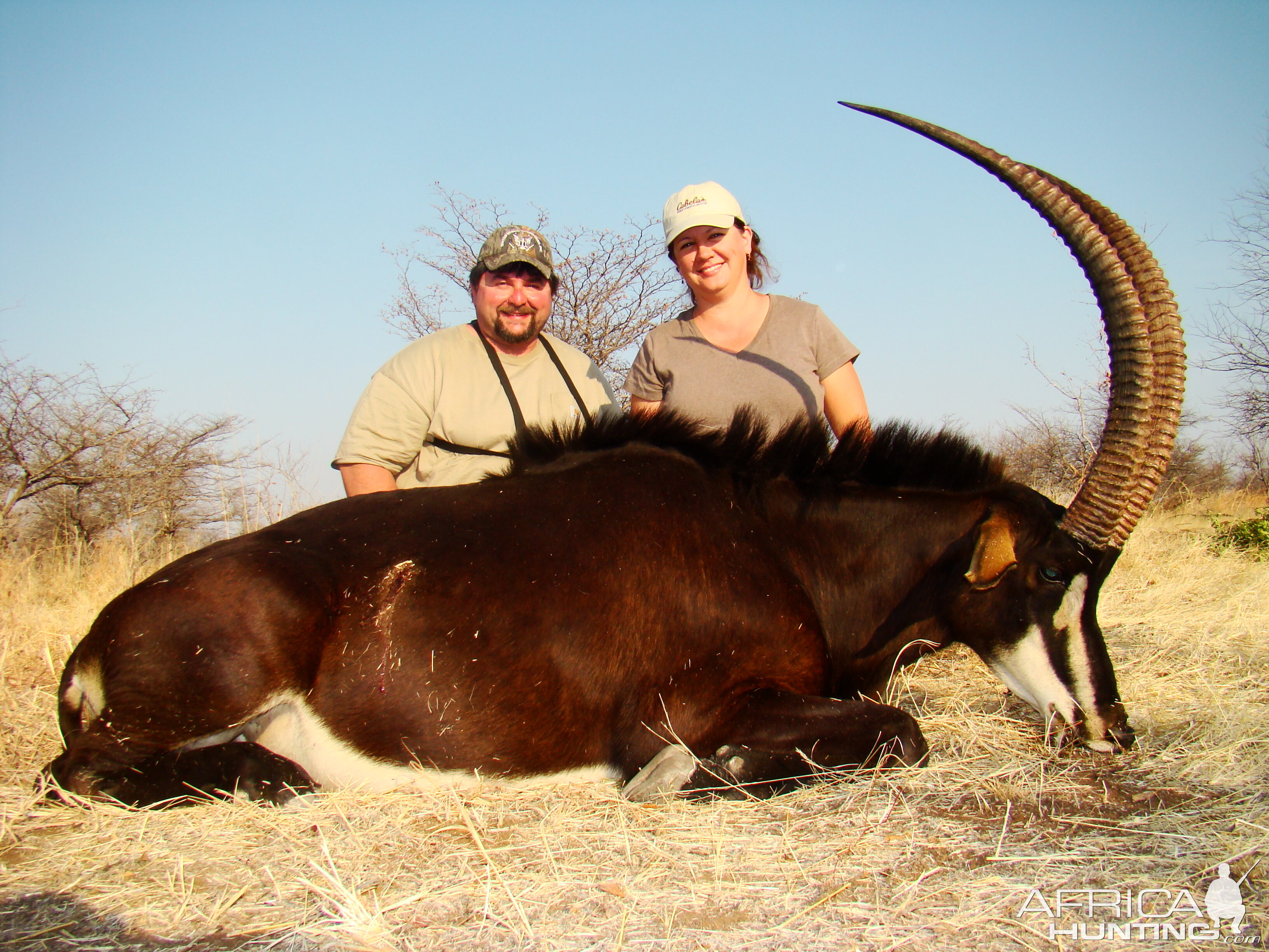 Hunt Sable Antelope