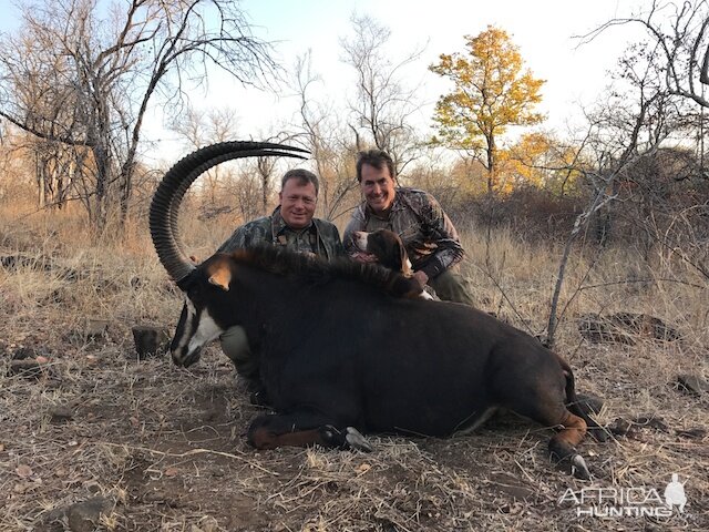 Hunt Sable Antelope