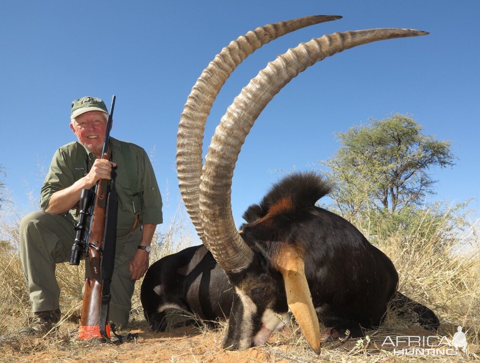 Hunt Sable Antelope