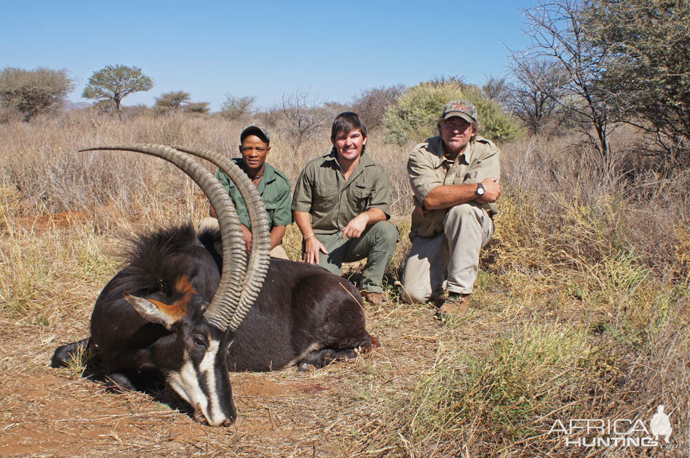 Hunt Sable in Namibia