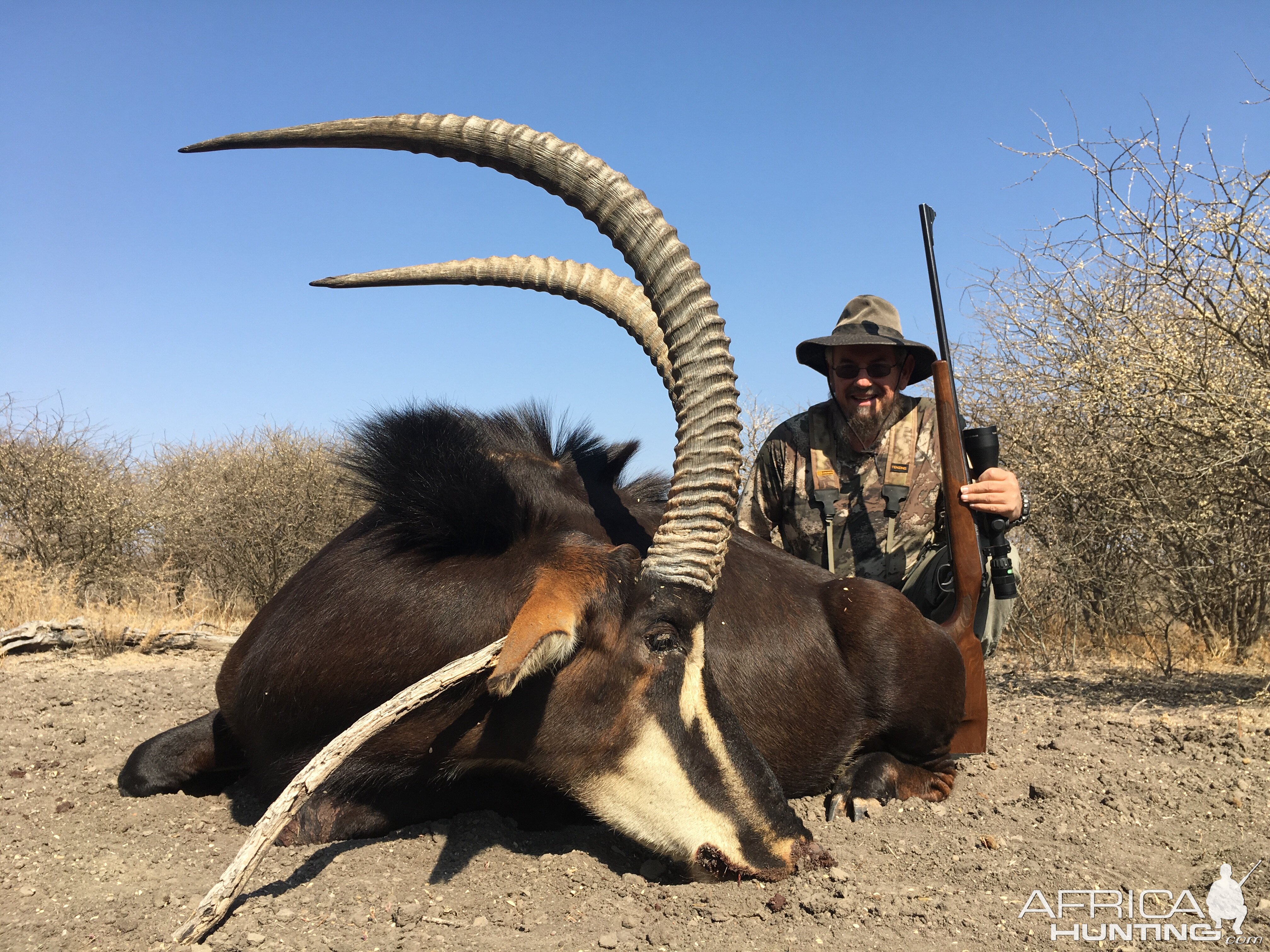 Hunt Sable in South Africa