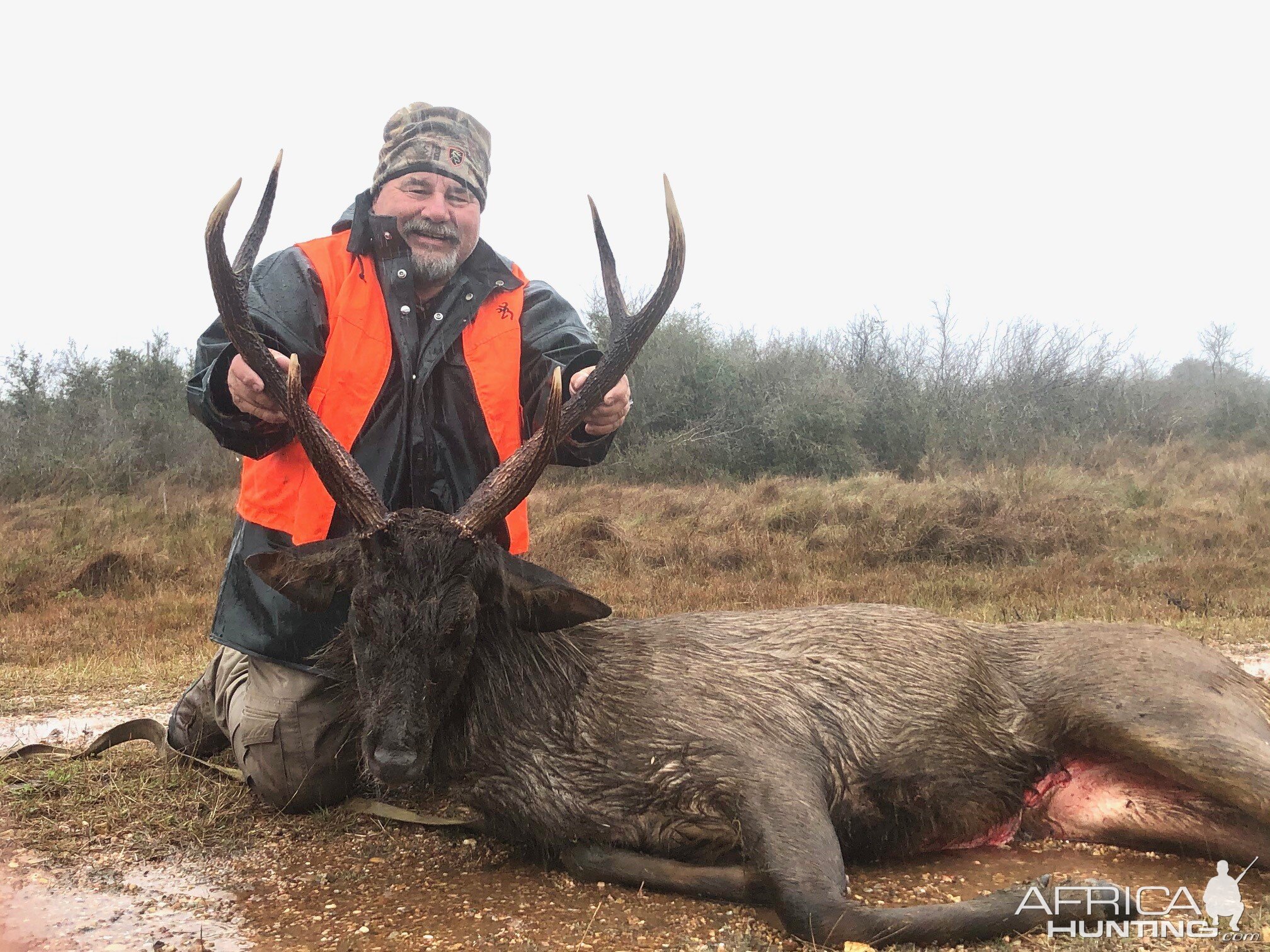 Hunt Sambar Deer