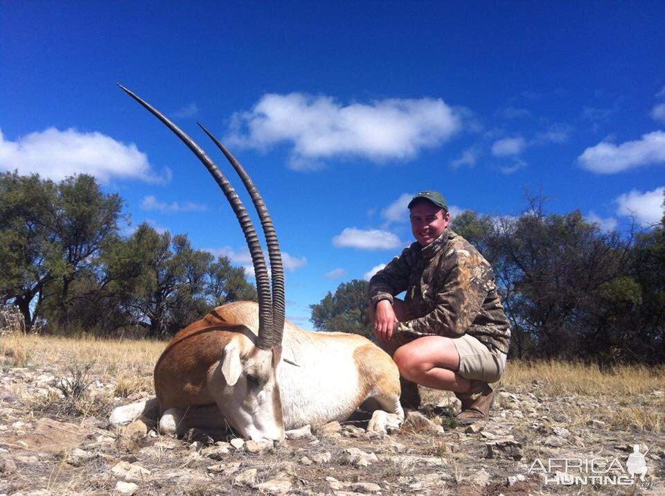 Hunt Scimitar Oryx in South Africa