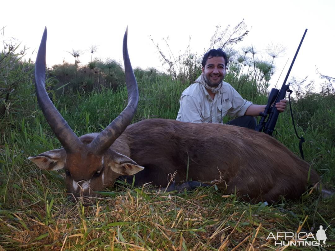 Hunt Sitatunga Uganda