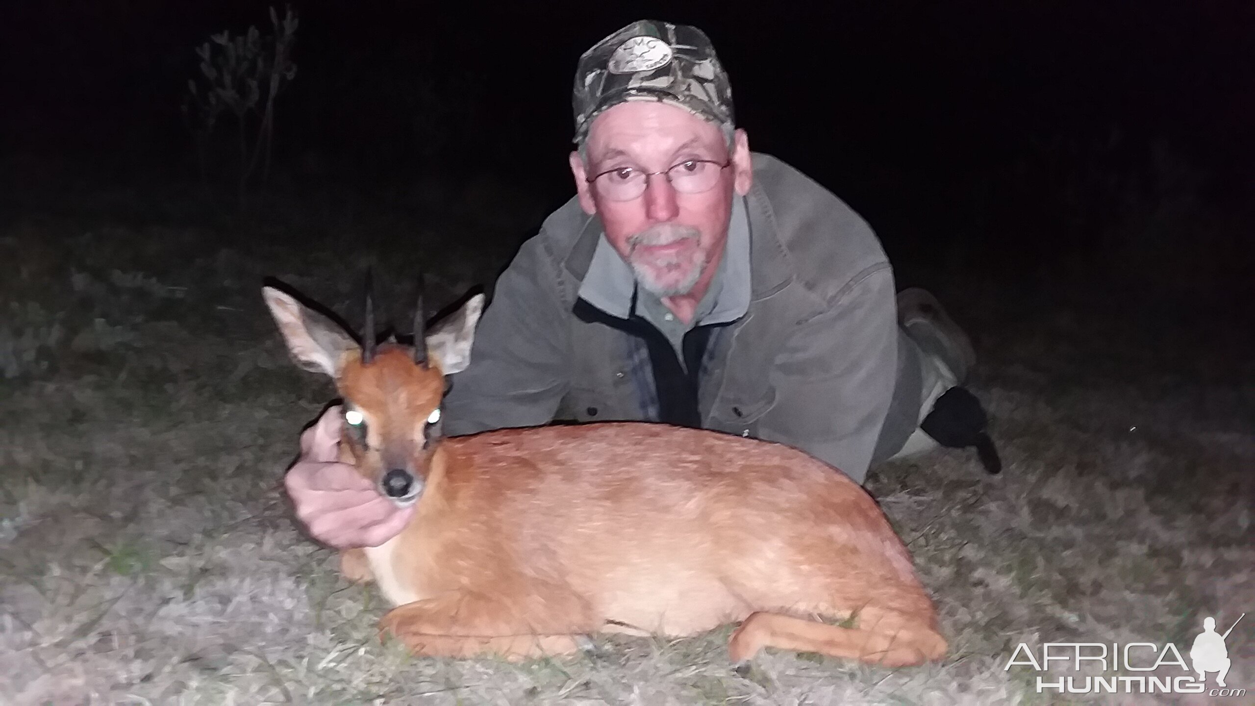 Hunt South Africa Cape Grysbok