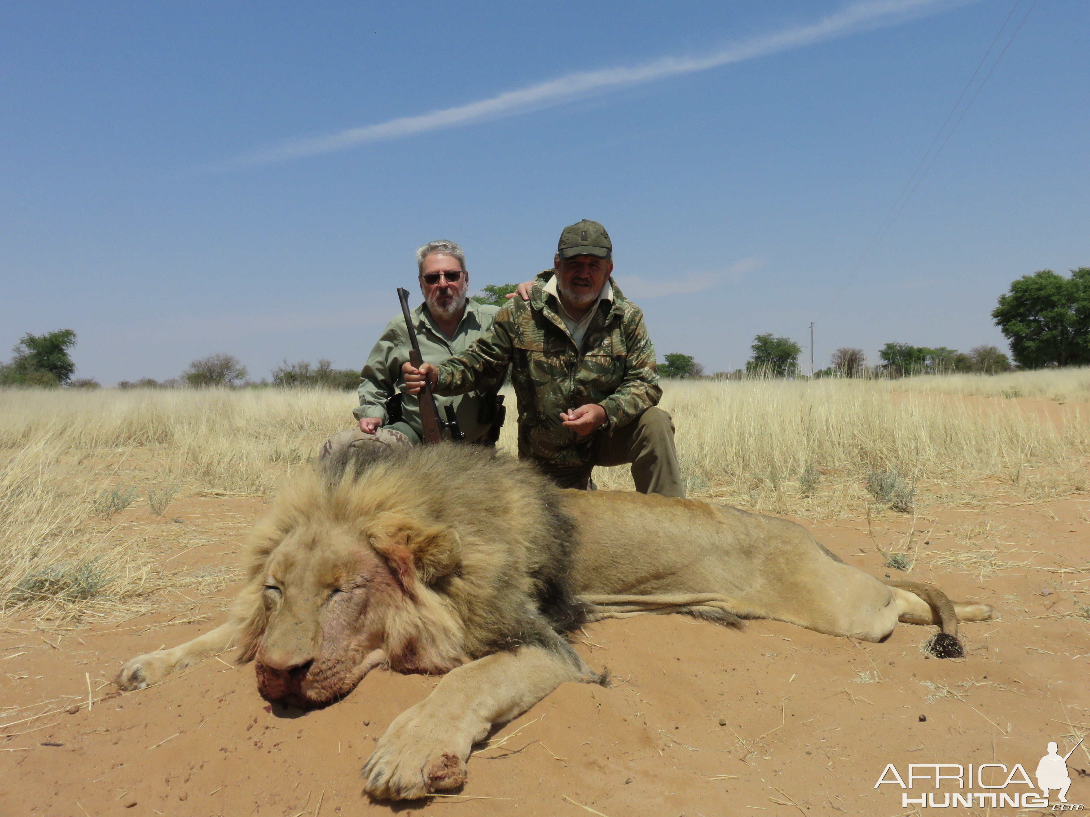 Hunt South Africa Lion