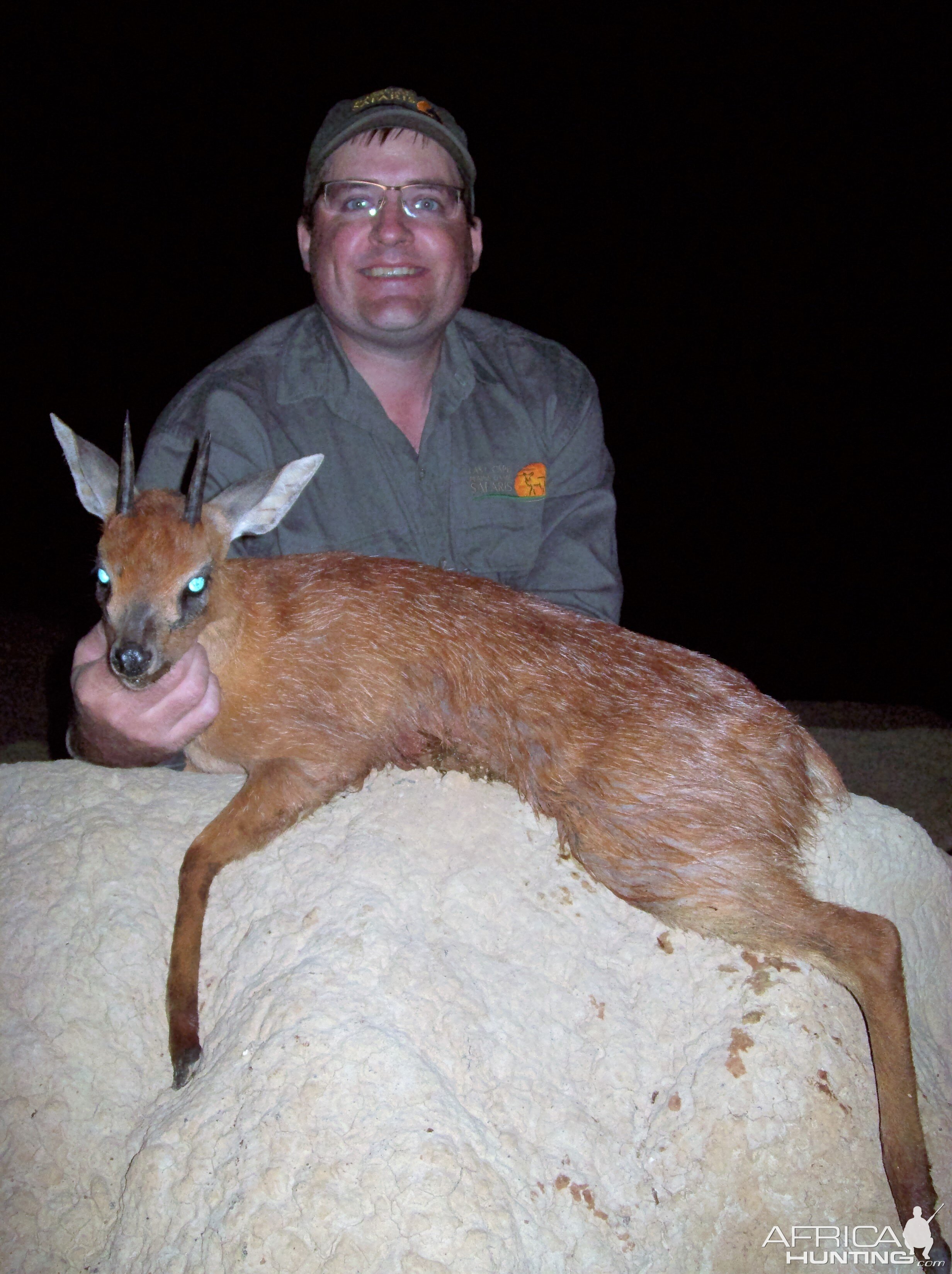 Hunt South Africa Red Duiker