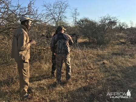 Hunt South Africa Shooting Stick