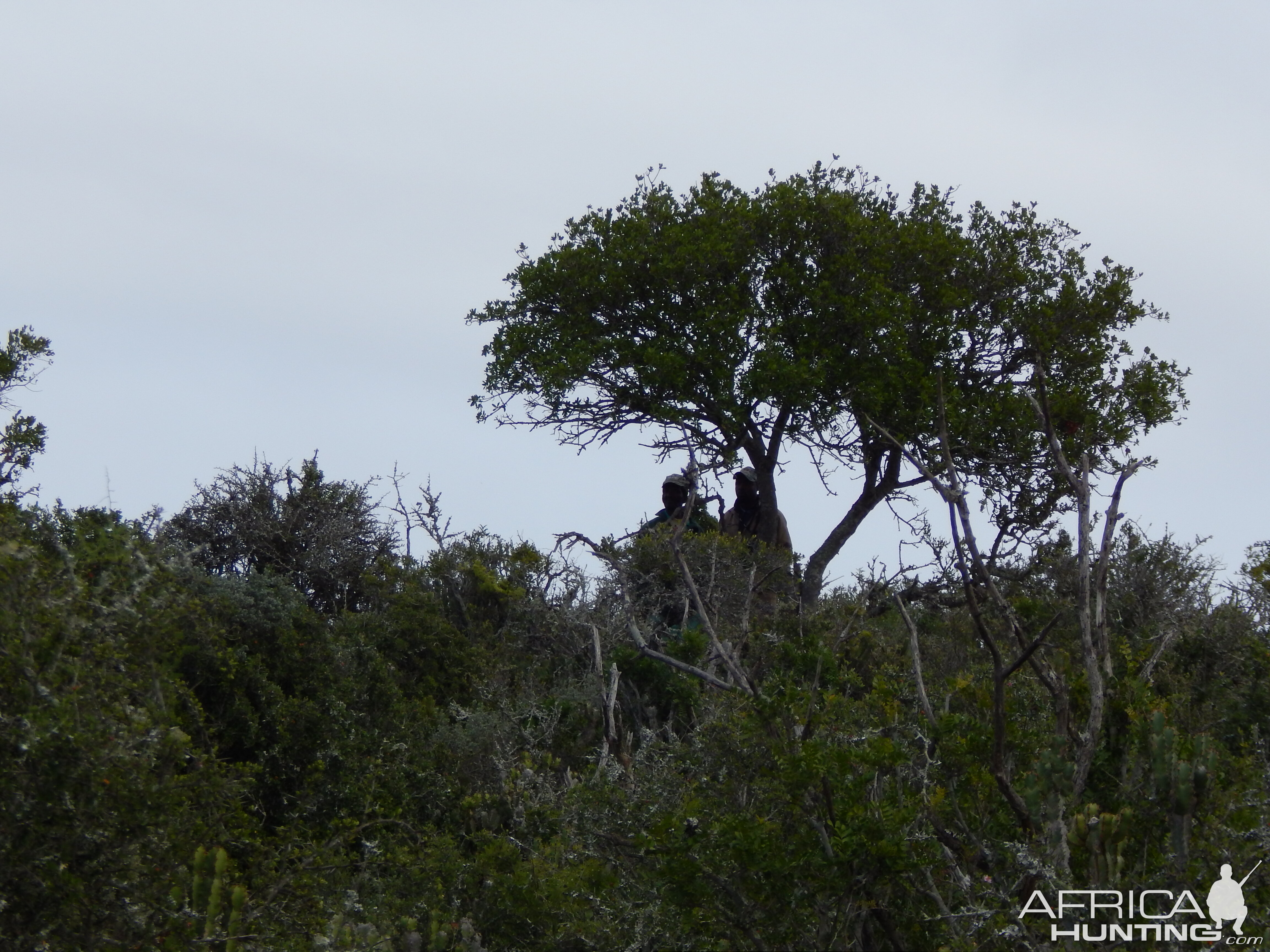 Hunt South Africa