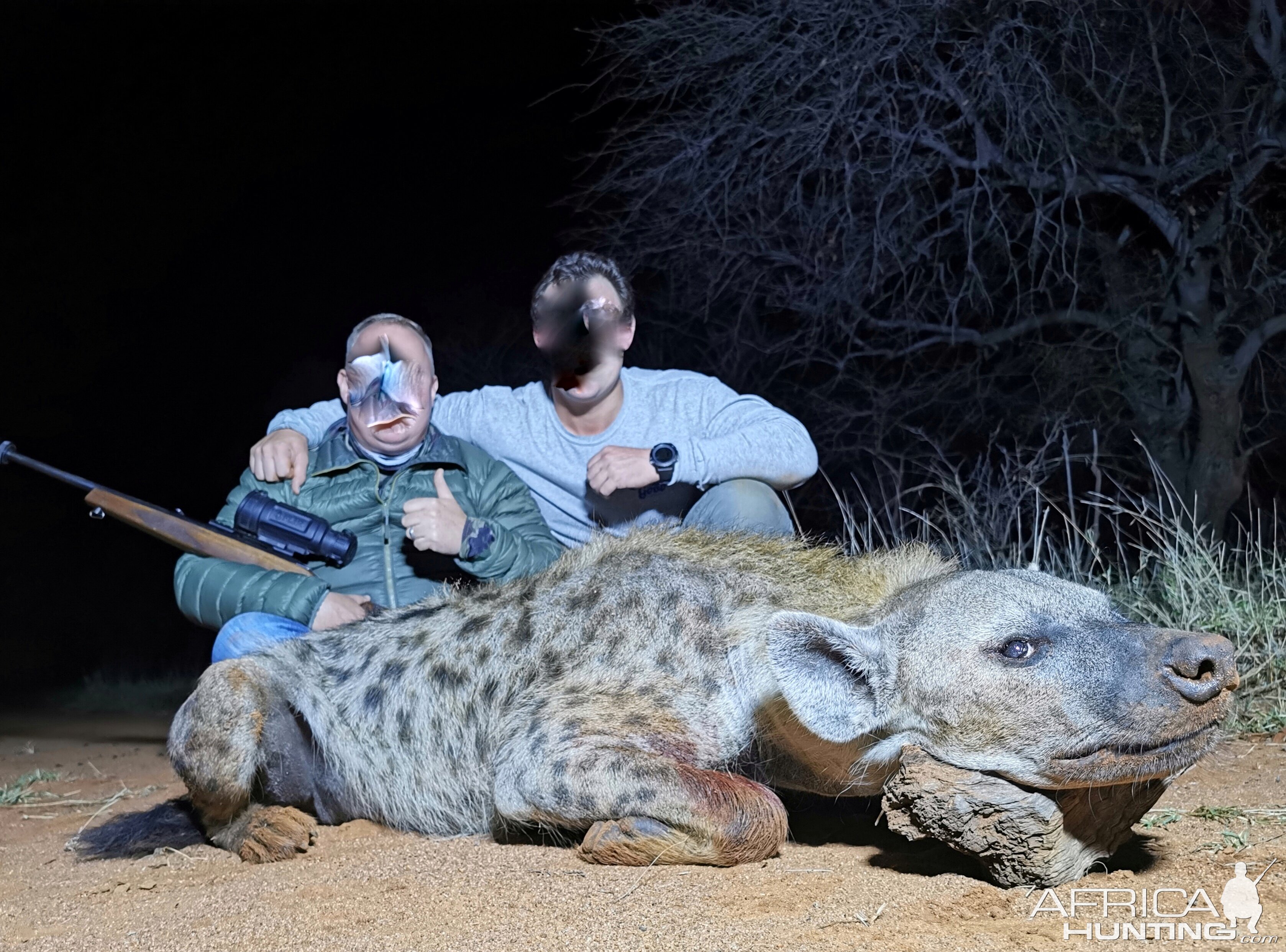 Hunt Spotted Hyena in South Africa