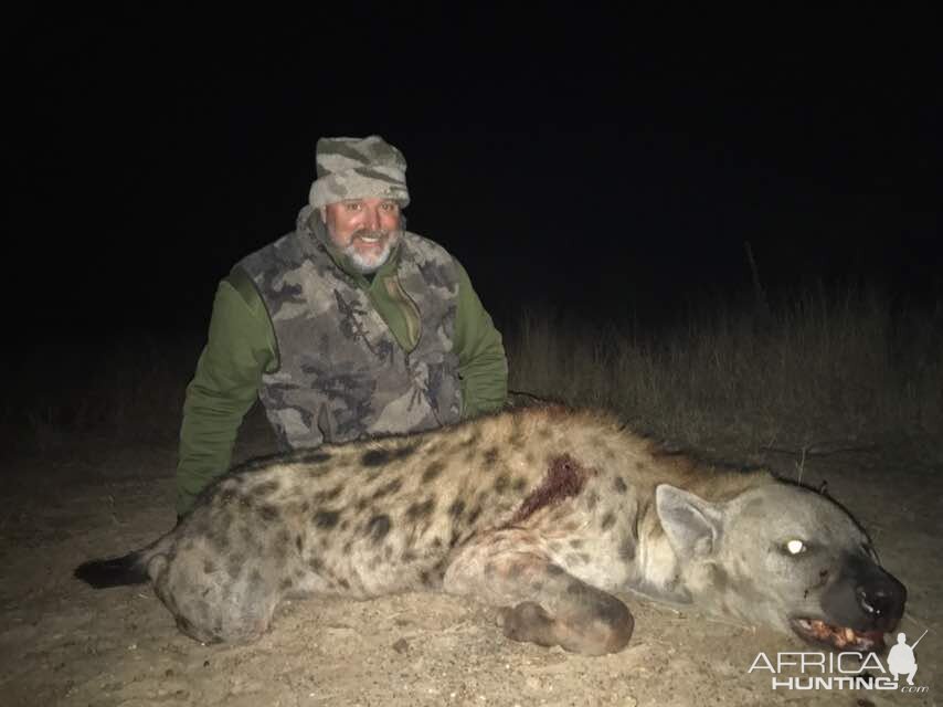 Hunt Spotted Hyena in Zimbabwe