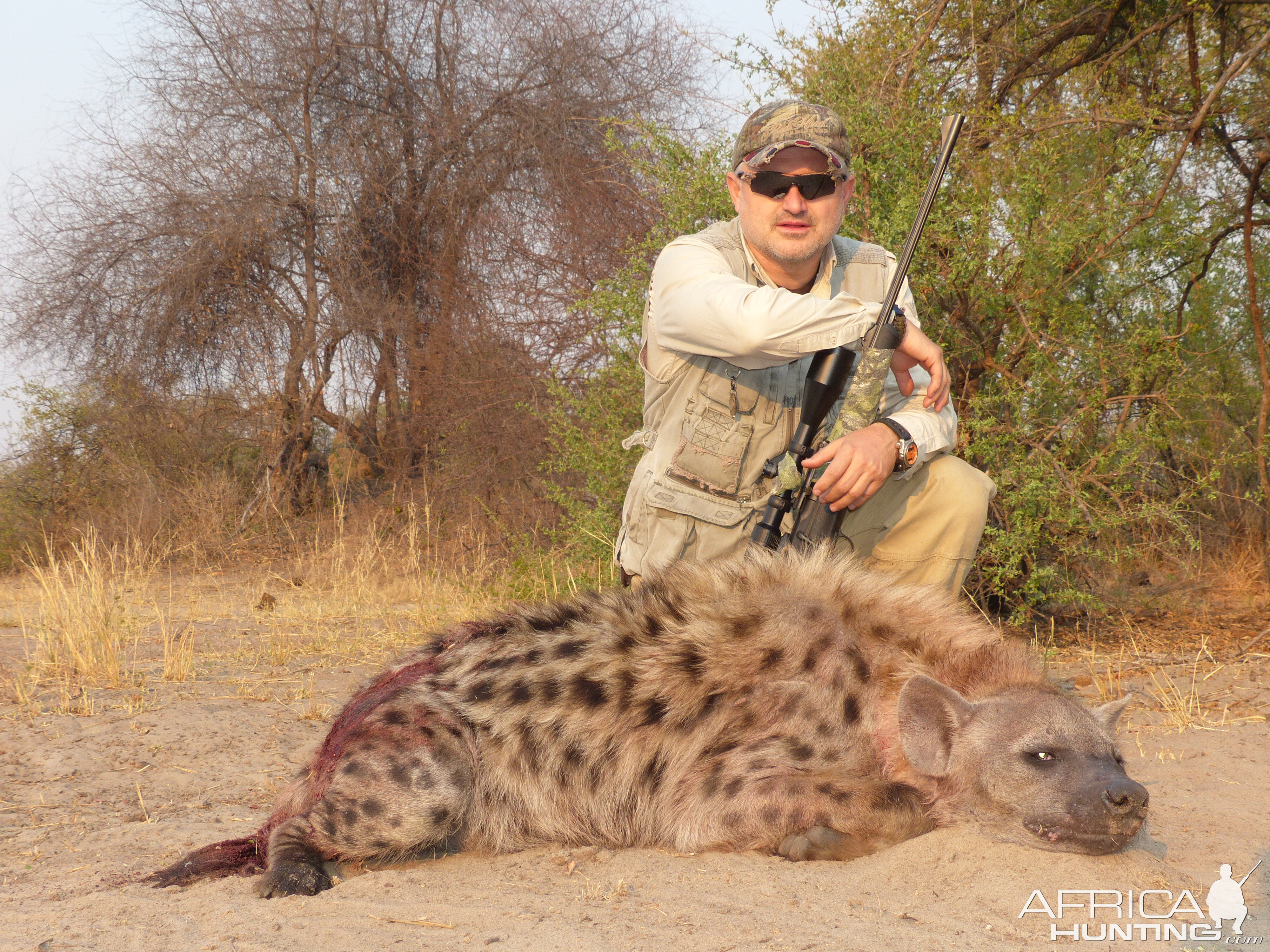 Hunt Spotted Hyena in Zimbabwe