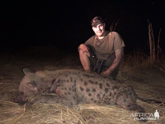 Hunt Spotted Hyena in Zimbabwe