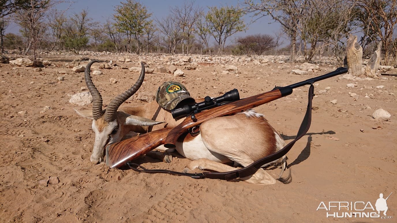 Hunt Springbok in Namibia