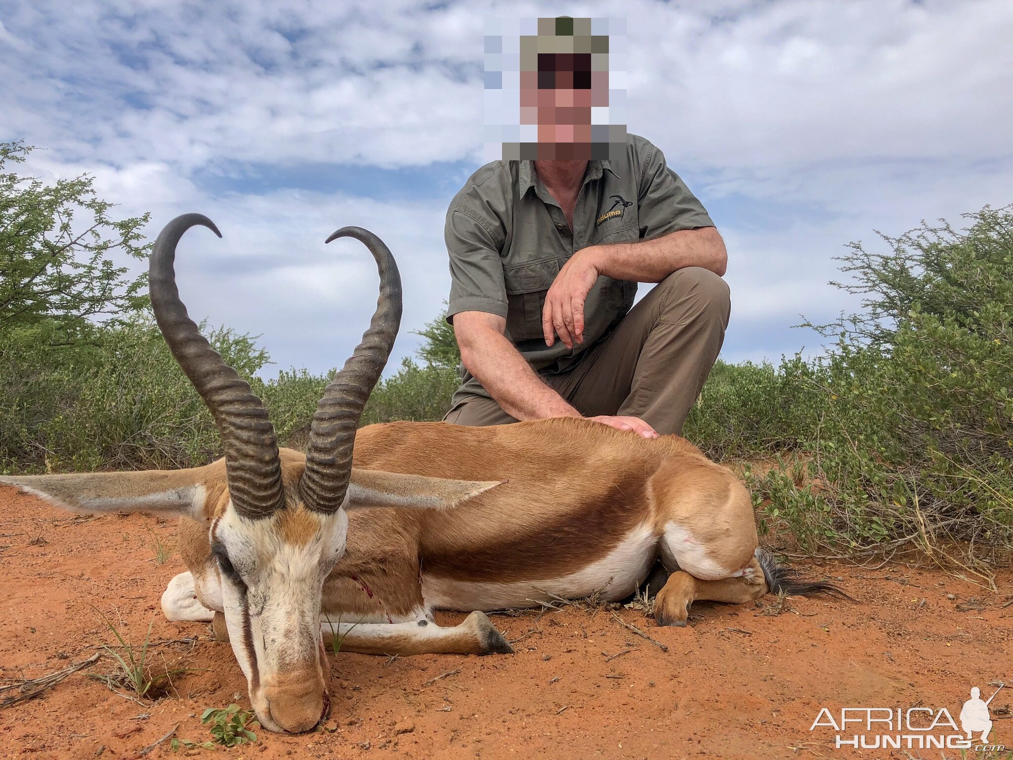 Hunt Springbok in Namibia