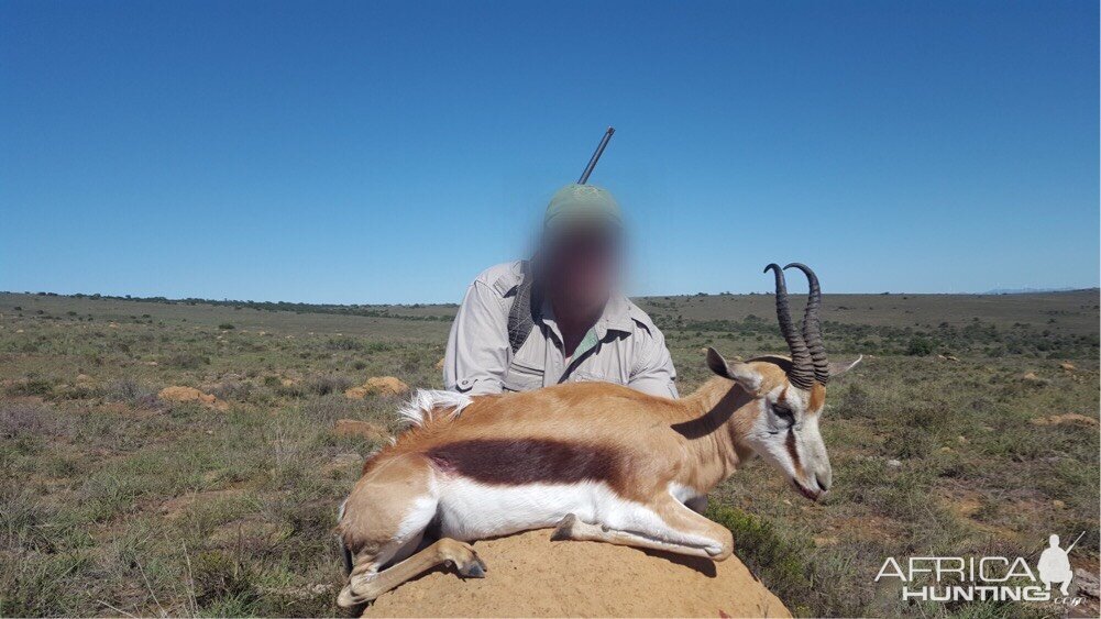 Hunt Springbok South Africa